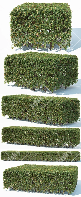 Lucidus #6 Rectangular Hedge 3D model image 2