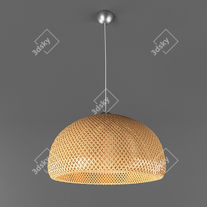 Bamboo Beauty: BOYA Pendant Lamp 3D model image 1