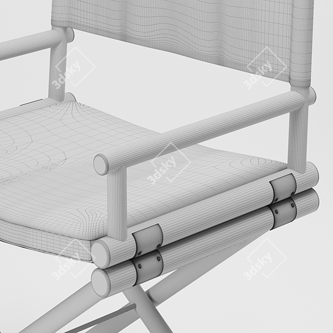 Braid MAXIM Foldable Director Chair 3D model image 3