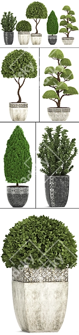 Title: Evergreen Plant Collection for Outdoor Landscaping 3D model image 2