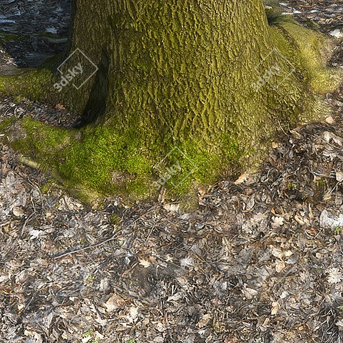 Acer Trunk: Realistic Moss Decor 3D model image 2