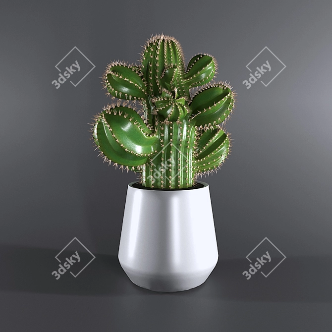 Desert Dream: 2013 Cactus Sculpture 3D model image 2