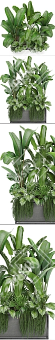 Tropical Plant Collection: Bananas, Monstera & More 3D model image 2