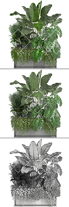 Exquisite Exotic Plant Collection 3D model image 3