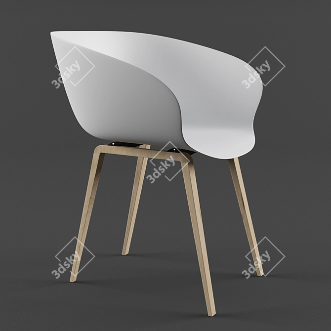 Modern Arm Chair: PP Plastic + Beechwood 3D model image 2
