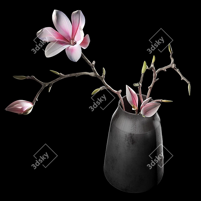 Delicate Magnolia Decor Set 3D model image 2