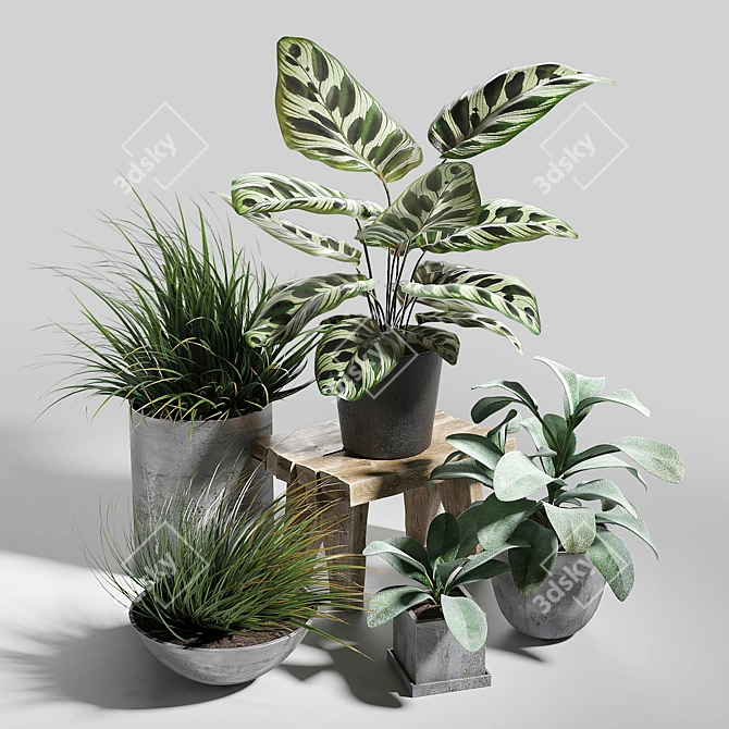 Lush Greenery Trio 3D model image 1