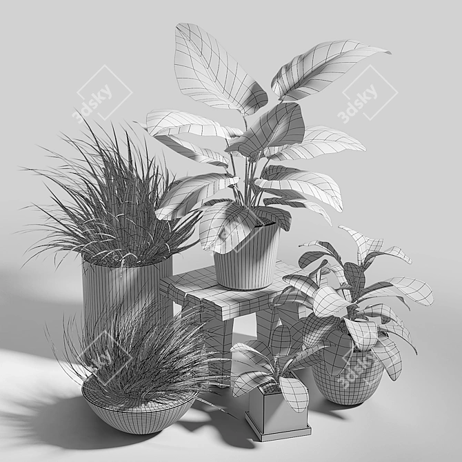 Lush Greenery Trio 3D model image 3