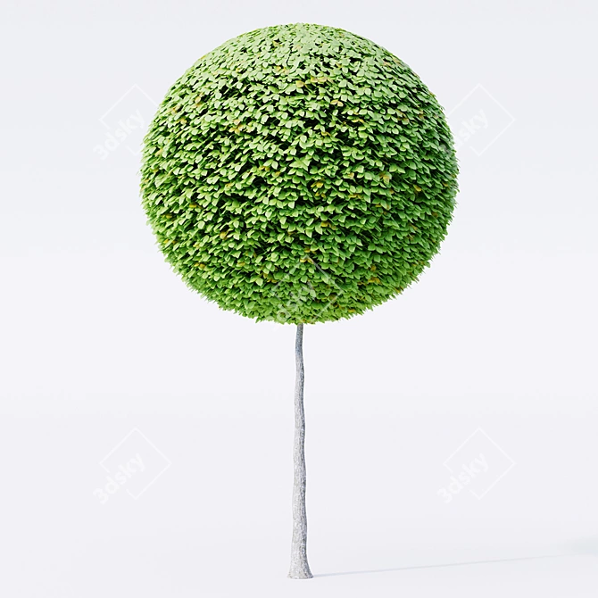 3D Geometric Topiary Trees 3D model image 1