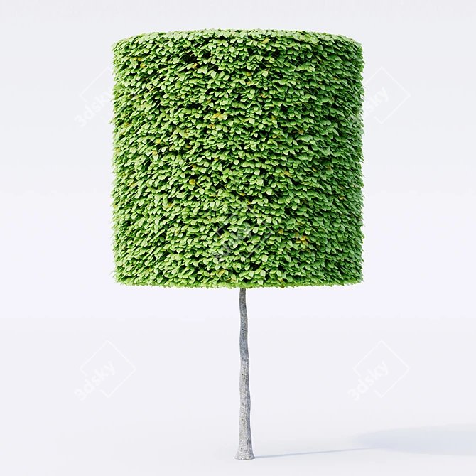 3D Geometric Topiary Trees 3D model image 2