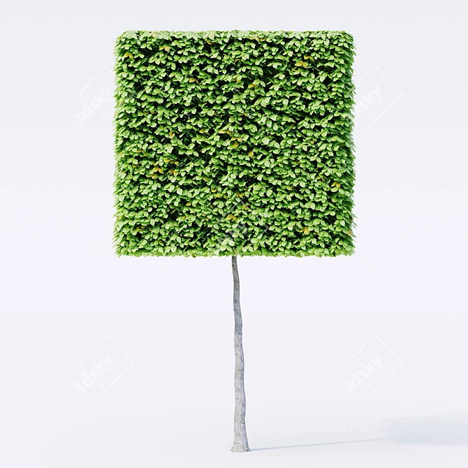 3D Geometric Topiary Trees 3D model image 3