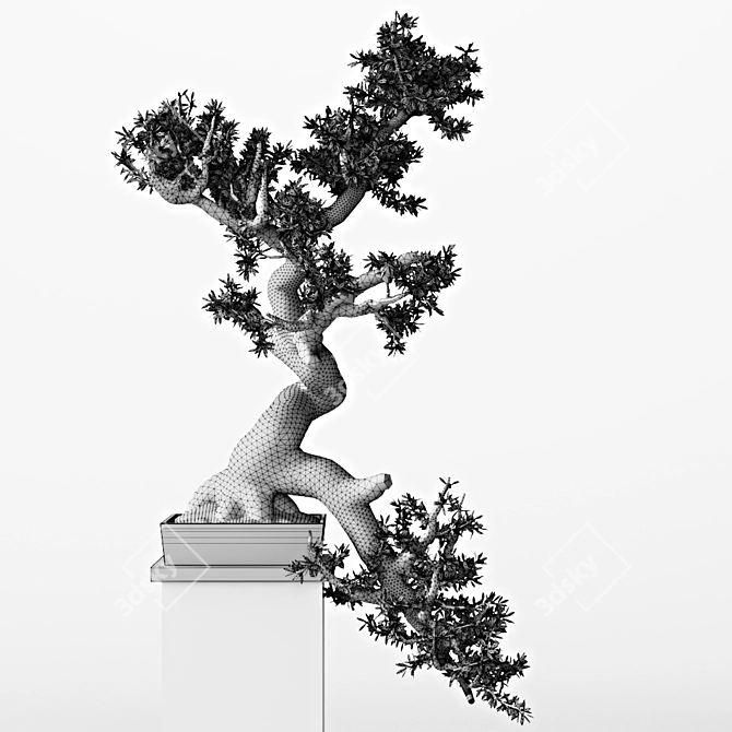 55cm Bonsai Tree: Realistic 3D Model 3D model image 3