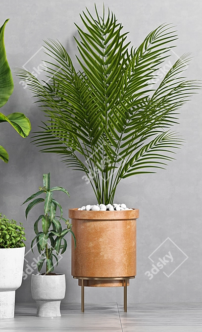 Botanical Bliss: Decorative Planter Set 3D model image 3