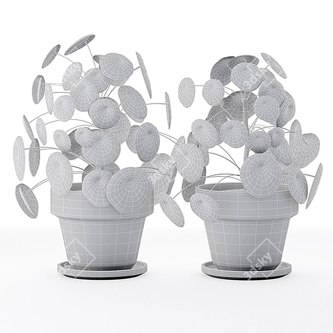 Pilea Perperomioides: Modern Minimalist Plant 3D model image 3