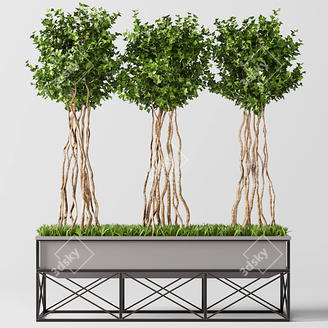 Elegant English Ivy Topiary: Perfect Green Accent 3D model image 1