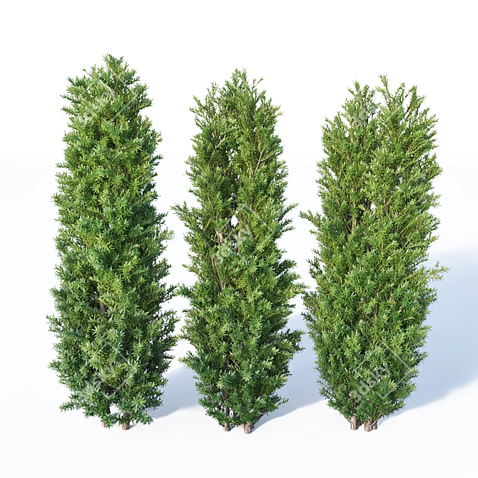 160 cm Taxus Baccata Hedge: Versatile, Accurate, Beautiful 3D model image 2