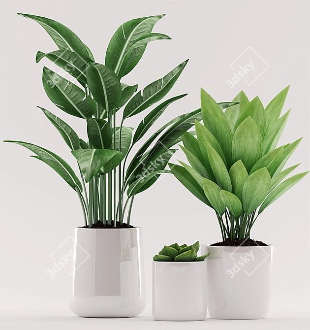 Green Paradise: Aspidistra Plant with White Pot 3D model image 2