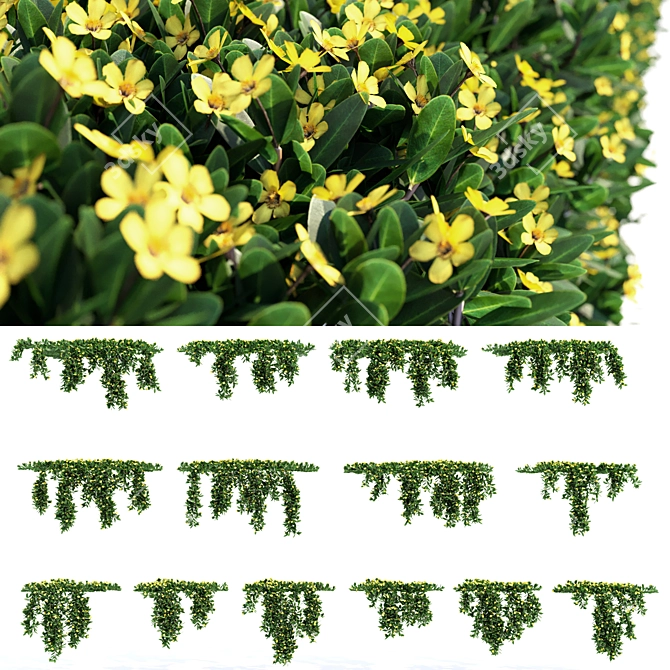 Versatile hanging plant: 14 modular pieces 3D model image 2