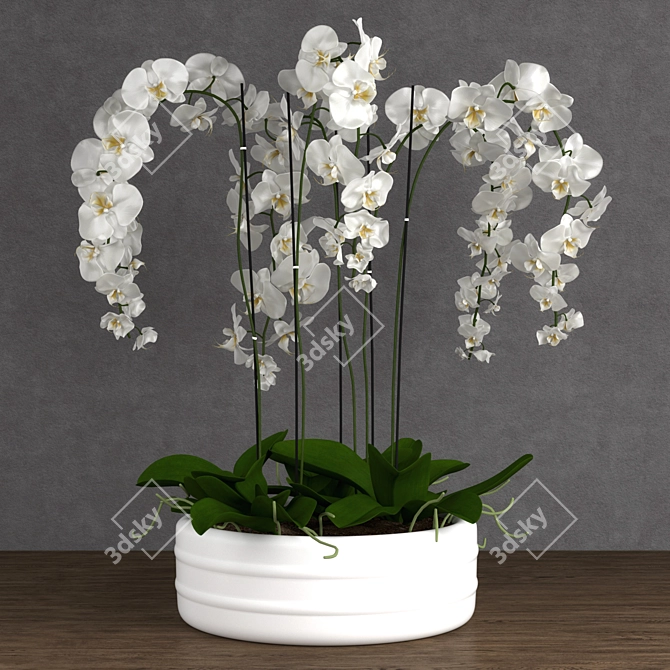 Exquisite Orchid Model 3D model image 1