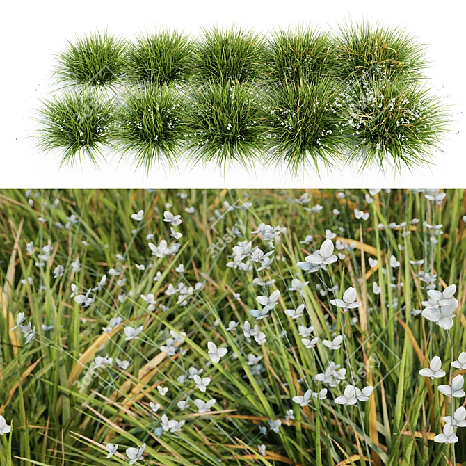 Libertia Grandiflora: 10 Modular Pieces 3D model image 1