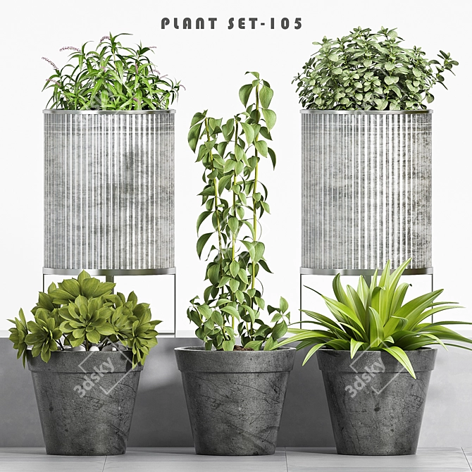 Boho Vibes: Decorative Planter Set 3D model image 1