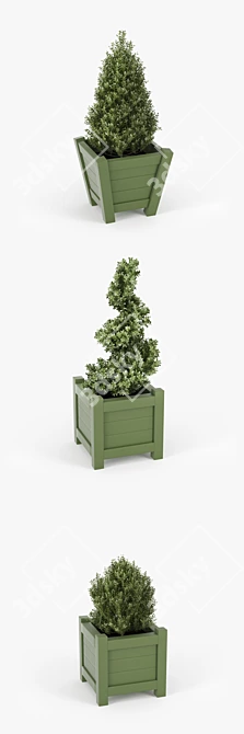 Lush Buxus Green Pot 3D model image 2