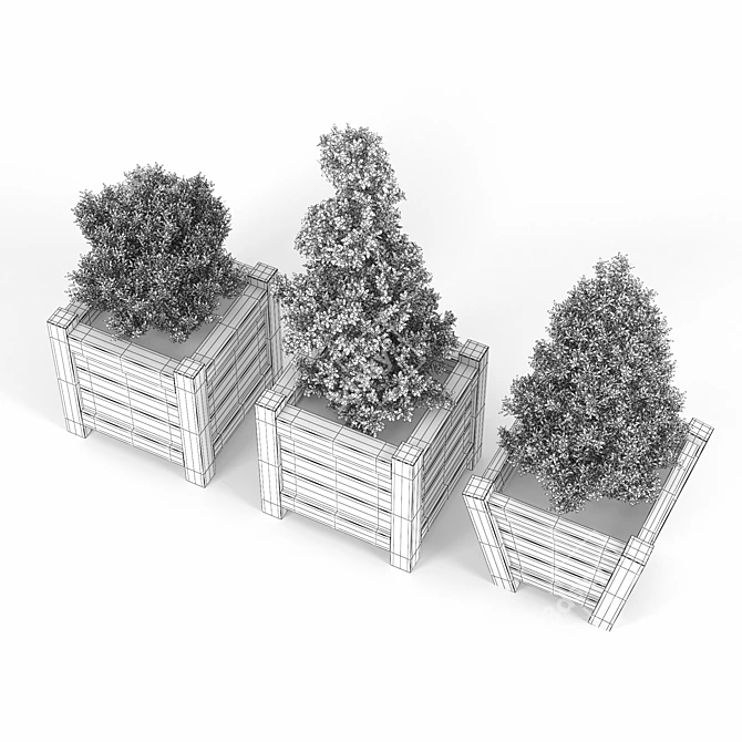 Lush Buxus Green Pot 3D model image 3