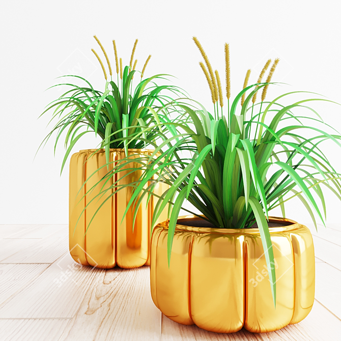 Stunning Houseplant Collection 3D model image 1