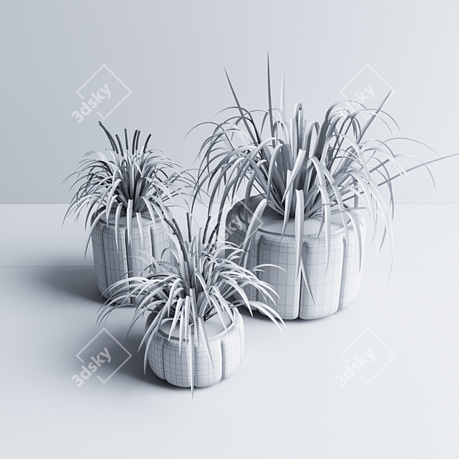 Stunning Houseplant Collection 3D model image 3