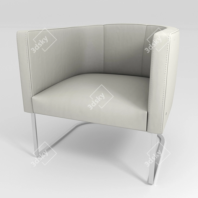 DS-207 Chair: Antonella Scarpitta Design 3D model image 1