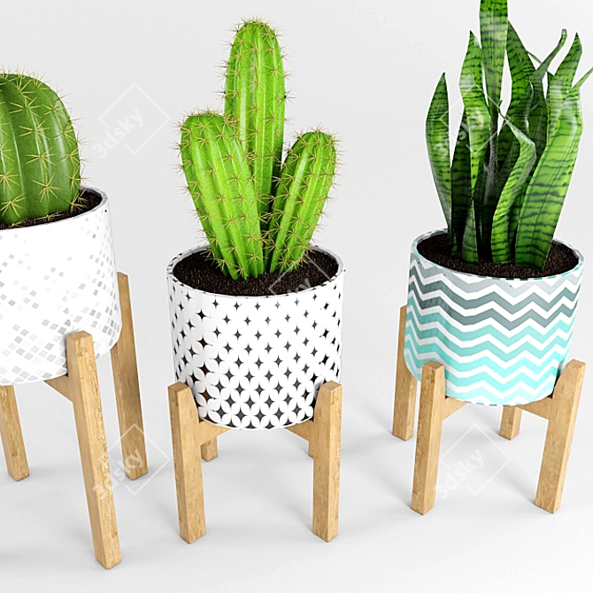 Desert Oasis: Cactus & Sansevieria 3D model image 2