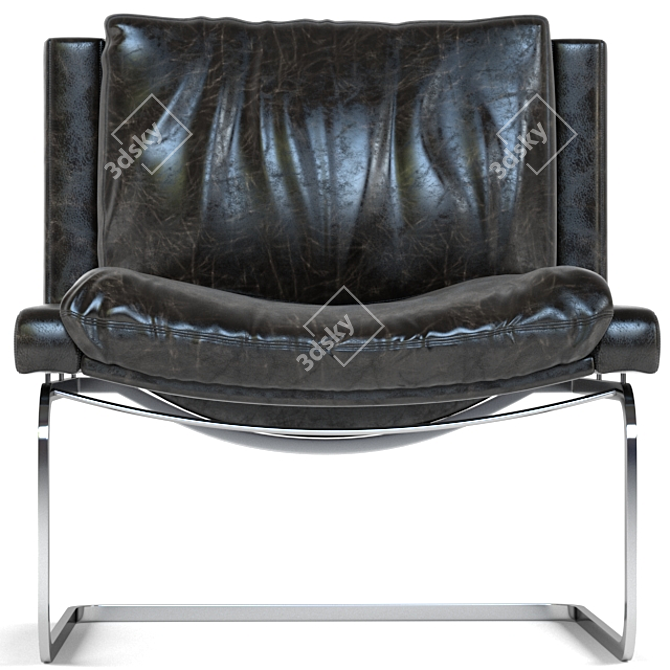 Sleek Ebony Lounge Chair - De Sede 3D model image 1