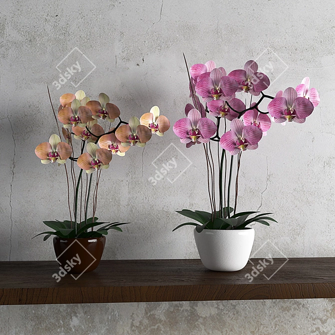 Elegant Orchid Wall Decor 3D model image 1