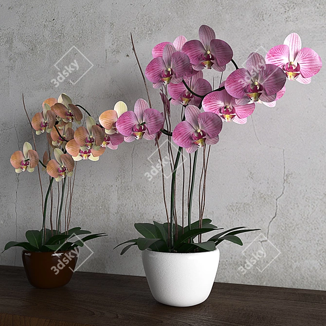 Elegant Orchid Wall Decor 3D model image 2