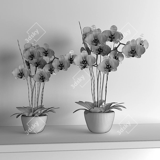 Elegant Orchid Wall Decor 3D model image 3