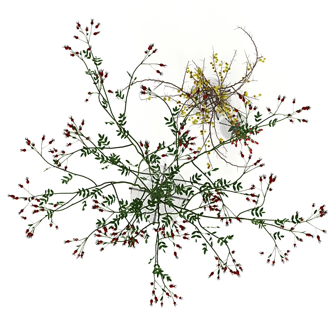 Elegant Twigs in Echasse Vases 3D model image 2