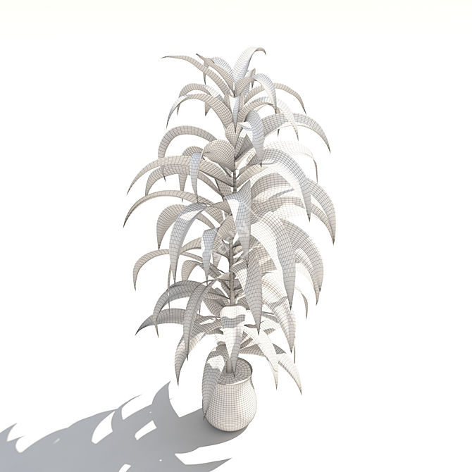 Evergreen Plant: 3Dmax & Vray 3D model image 2