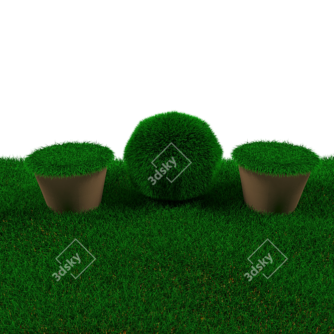 Lush Green Lawn 3D model image 1