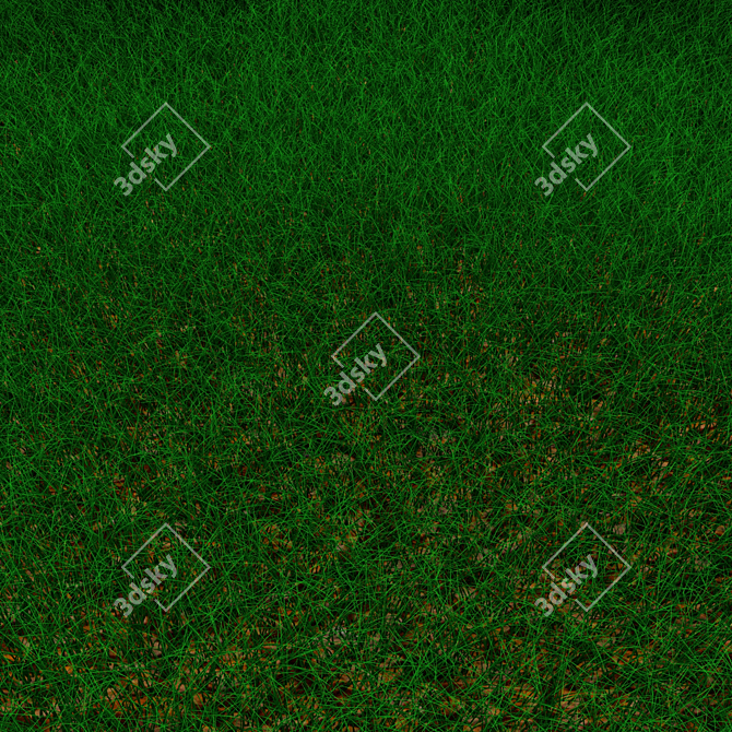 Lush Green Lawn 3D model image 2