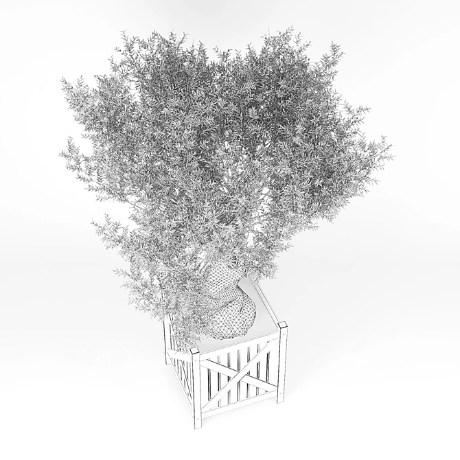 Elegant Olea Europaea 3D Model 3D model image 3