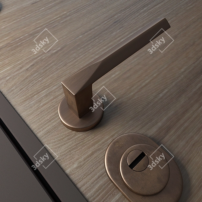 Om Shweda: European-Designed Smart Doors 3D model image 3