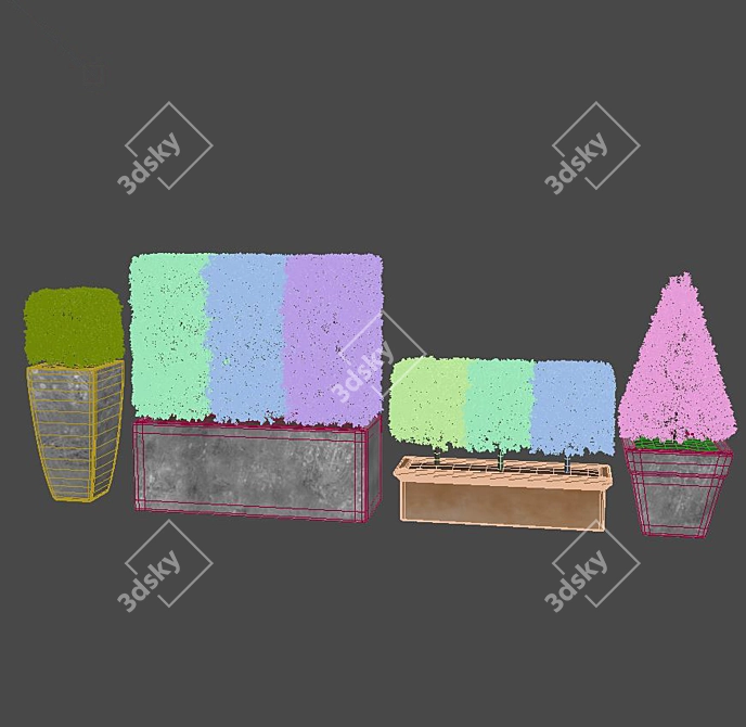 Versatile Buxus Microphylla Hedge 3D model image 2