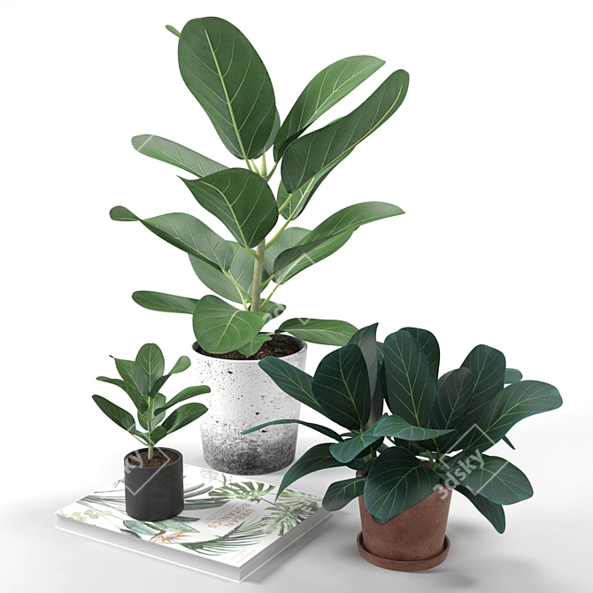 Benghalensis Ficus: Exquisite Potted Plant 3D model image 1