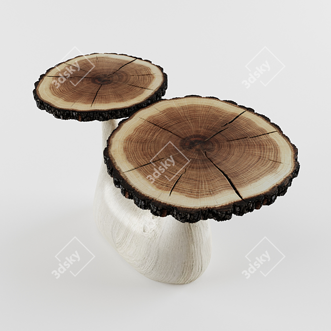 Natural Oak Wood Coffee Table 3D model image 2