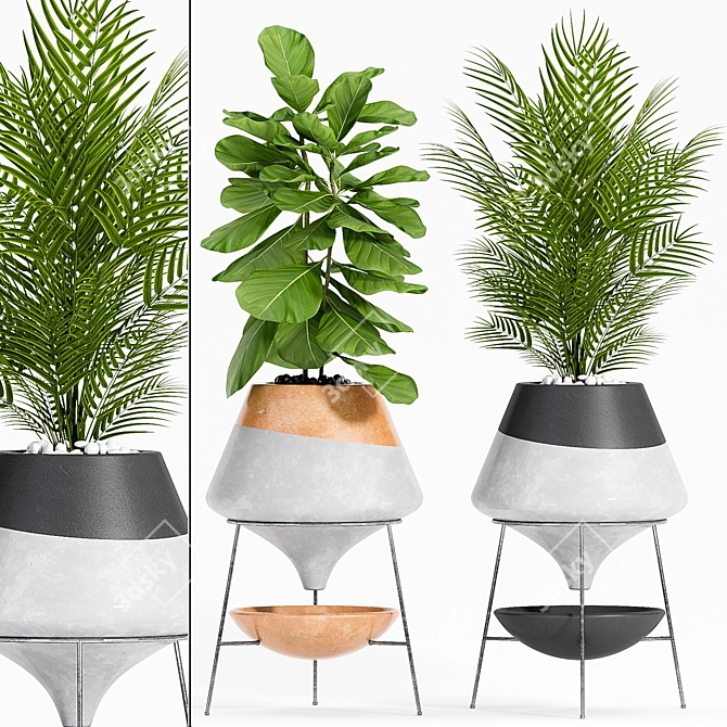 Stylish Plant Set: Decorate with Greenery 3D model image 1