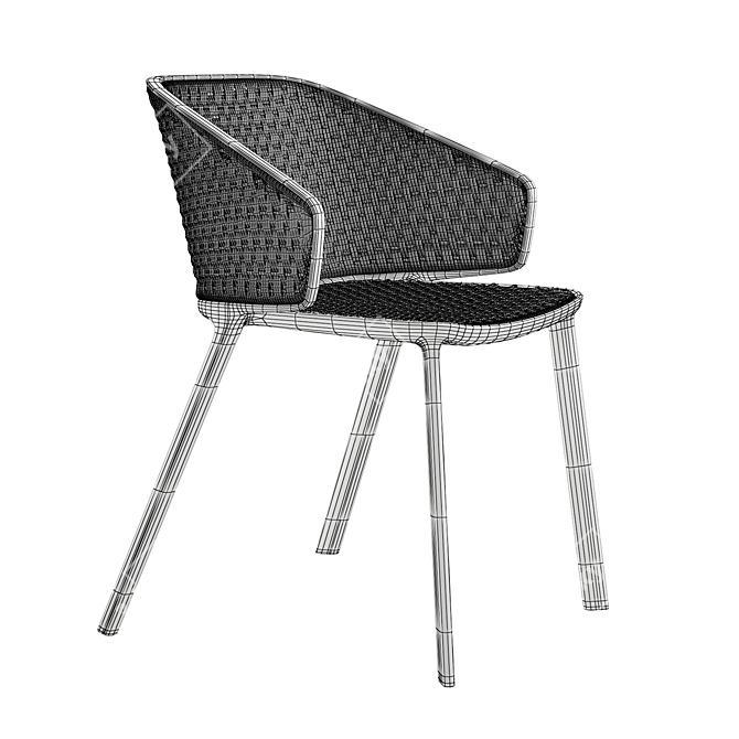 Pluvia Outdoor Dining Armchair by Ethimo 3D model image 3