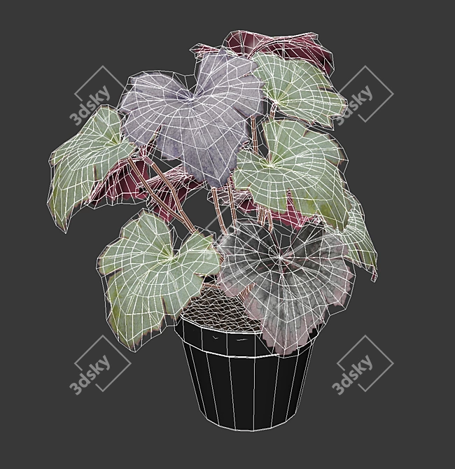 Faux Spotted Geranium: Lifelike Beauty for Indoors and Outdoors 3D model image 2