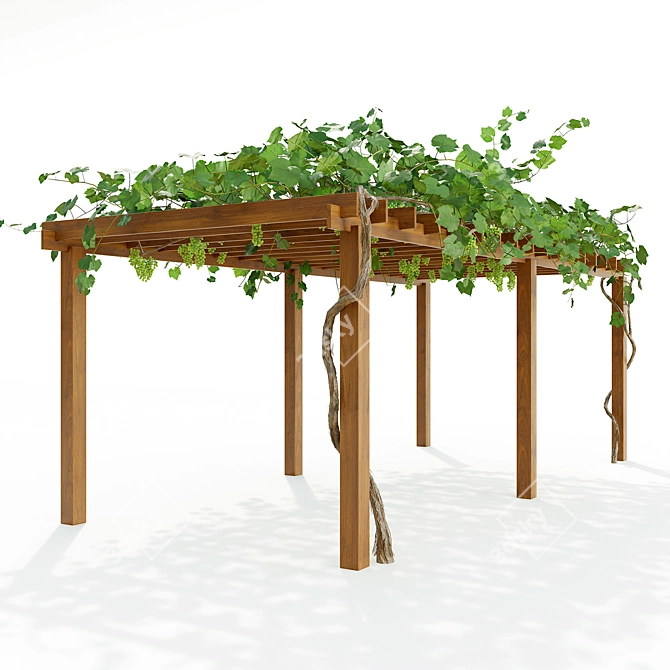 Grapevine Pergola: Elegant Outdoor Retreat 3D model image 1