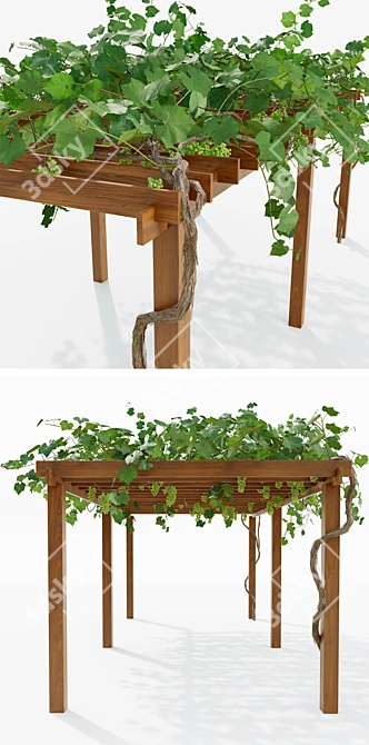 Grapevine Pergola: Elegant Outdoor Retreat 3D model image 2