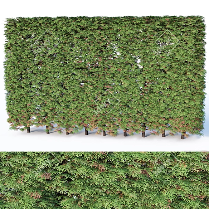 Modular Thuya Hedge Collection - 200cm Height 3D model image 1